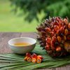 Palm oil fruits